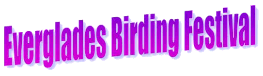 Everglades Birding Festival