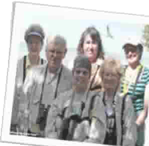 Festival birders