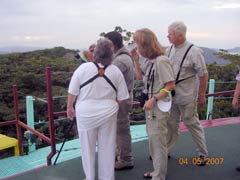 Birding Adventures in Panama