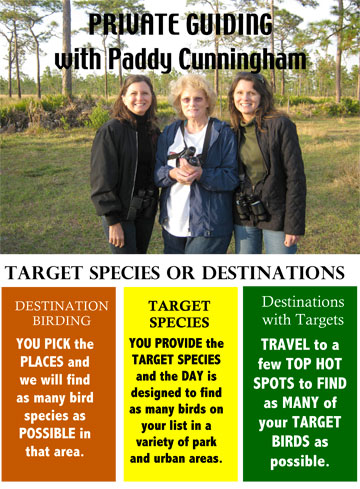 Expert Birding Guide: Paddy Cunningham