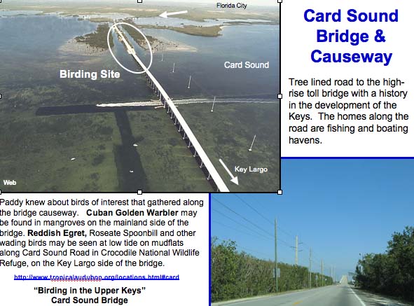 CardSound