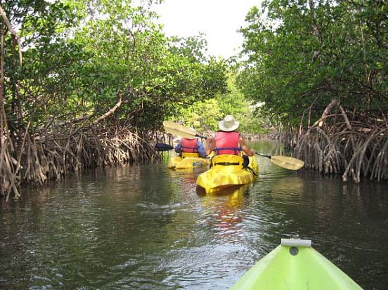 KayakTrip